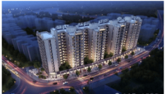 间仅限2026.1.13-2026.1.31日